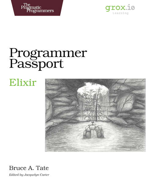 Book cover of Programmer Passport: Elixir