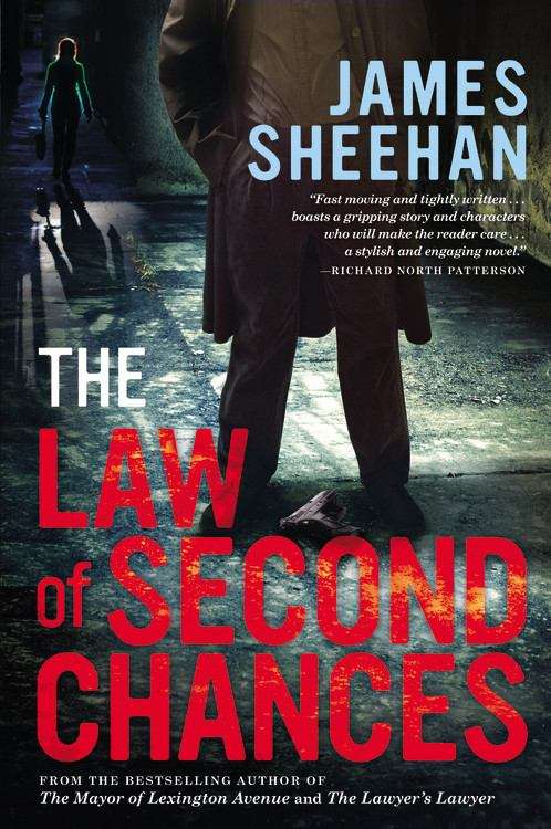 Book cover of The Law of Second Chances