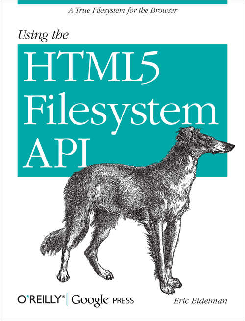Book cover of Using the HTML5 Filesystem API: A True Filesystem for the Browser