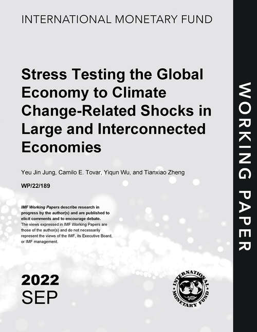 Book cover of Stress Testing the Global Economy to Climate Change-Related Shocks in Large and Interconnected Economies (Imf Working Papers)