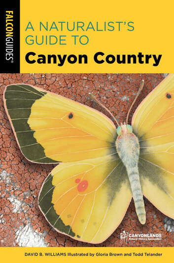 Book cover of A Naturalist's Guide to Canyon Country