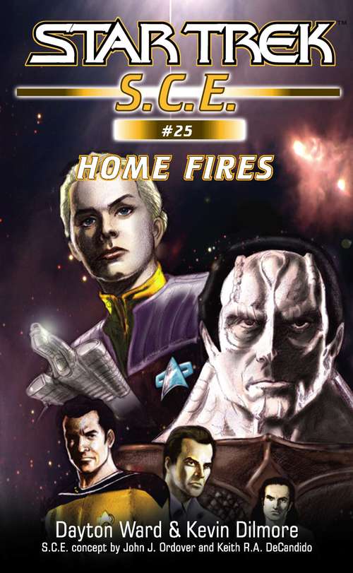 Star Trek: Home Fires (Star Trek: Starfleet Corps of Engineers #25)