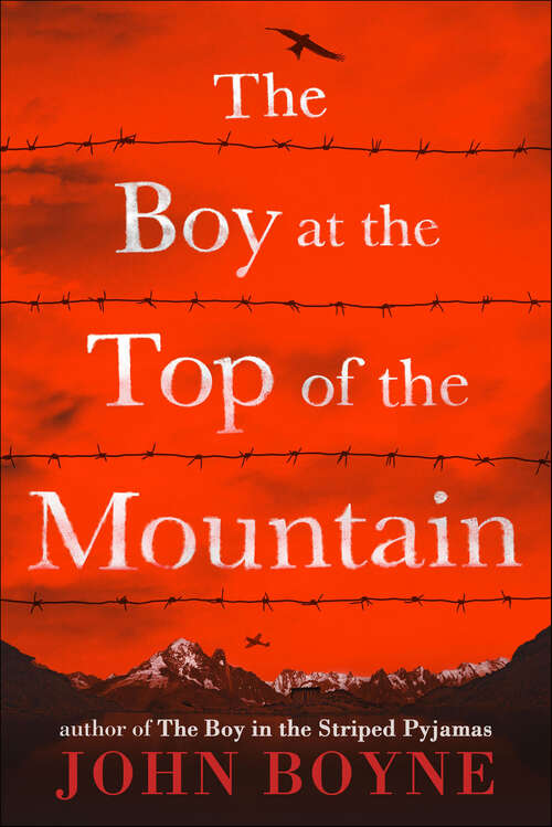 Book cover of The Boy at the Top of the Mountain