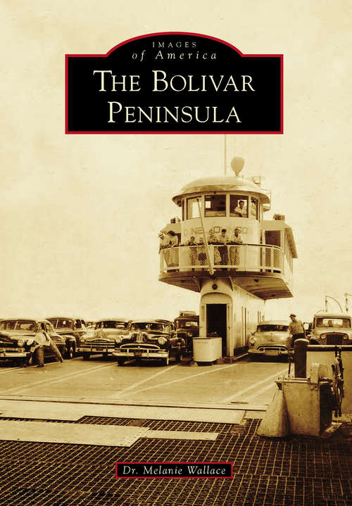 Book cover of Bolivar Peninsula, The