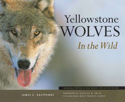 Book cover of Yellowstone Wolves in the Wild