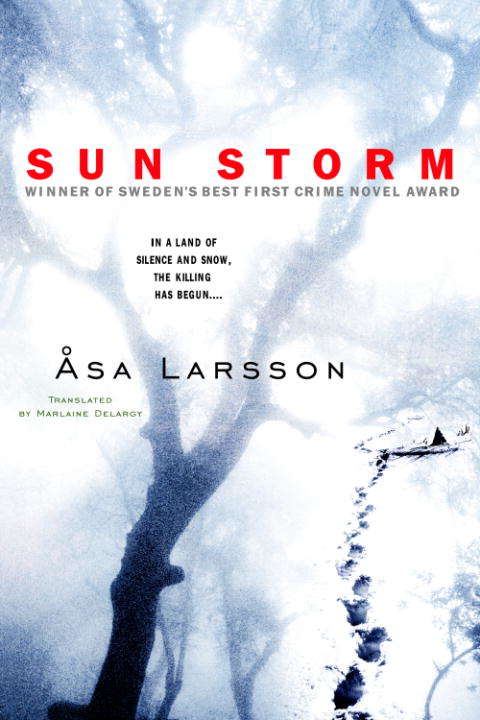 Book cover of Sun Storm
