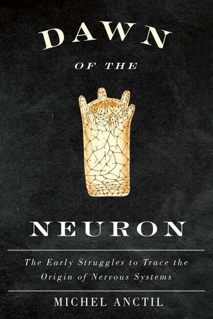 Book cover of Dawn of the Neuron: The Early Struggles to Trace the Origin of Nervous Systems