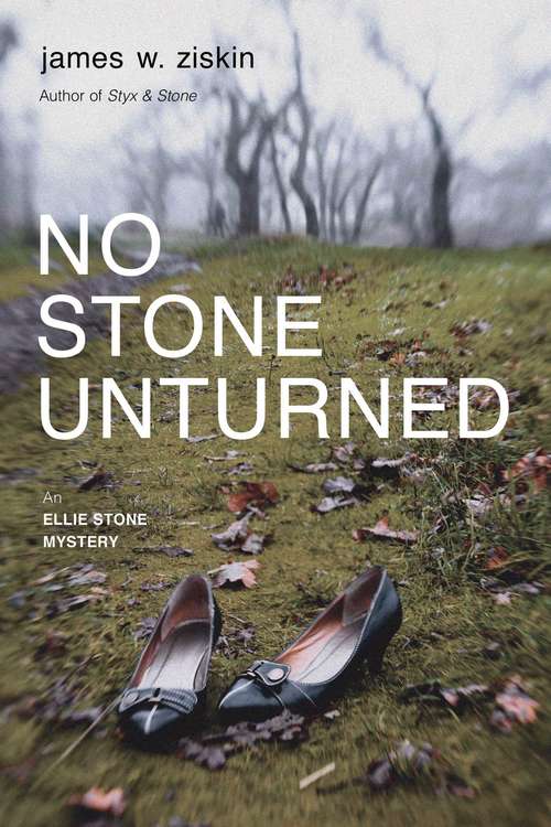 Book cover of No Stone Unturned: An Ellie Stone Mystery (Ellie Stone Mysteries #2)