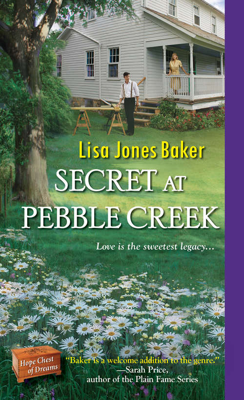 Secret at Pebble Creek (Hope Chest of Dreams #4)