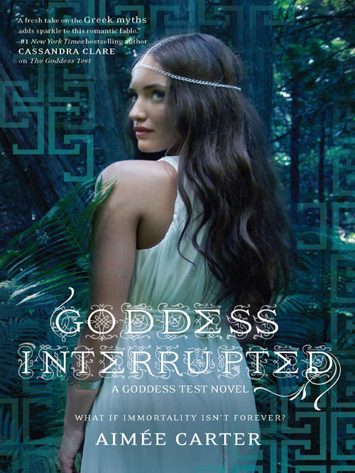 Book cover of Goddess Interrupted (Goddess Test #2)