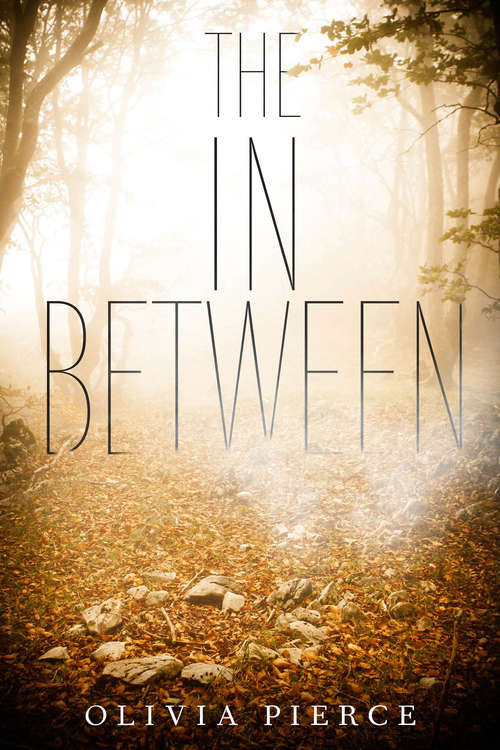 Book cover of The In Between