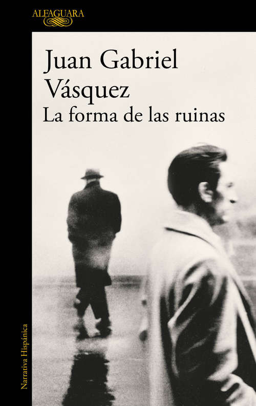 Book cover of La forma de las ruinas