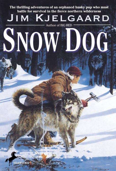 Book cover of Snow Dog