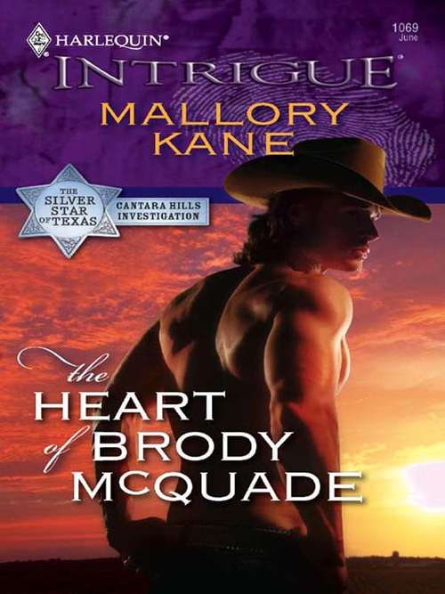 Book cover of The Heart of Brody McQuade