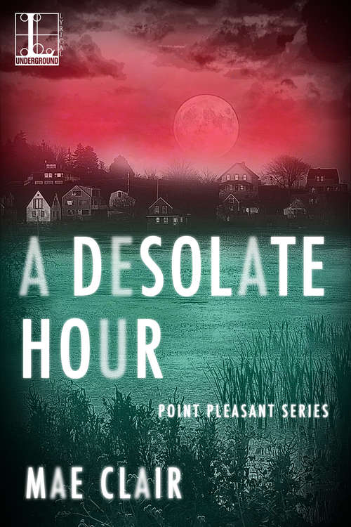 Book cover of A Desolate Hour