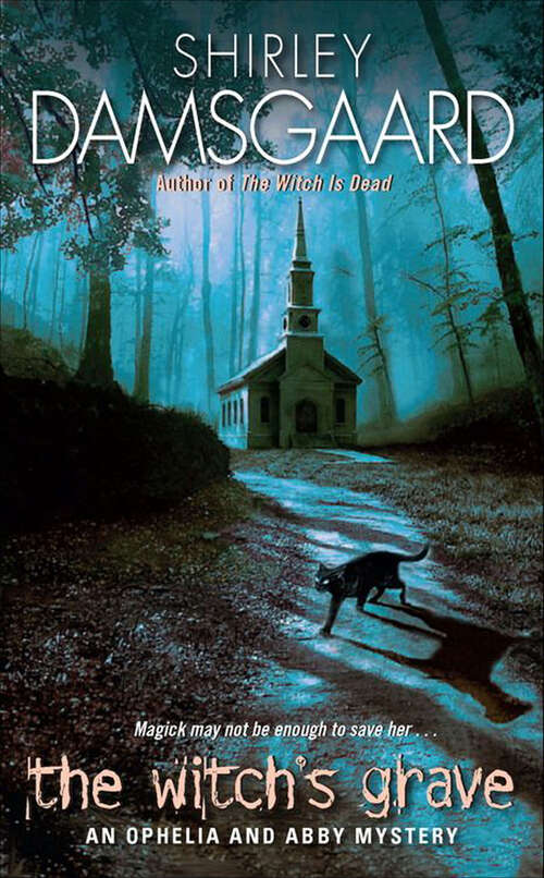 Book cover of The Witch's Grave: An Ophelia And Abby Mystery (The Ophelia & Abby Mysteries #6)