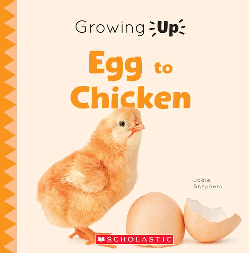 Book cover of Egg to Chicken (Growing Up)