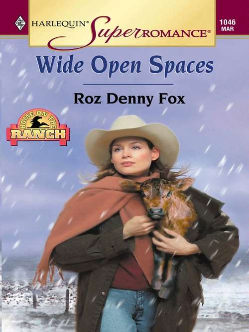Book cover of Wide Open Spaces (Home on the Ranch #19)