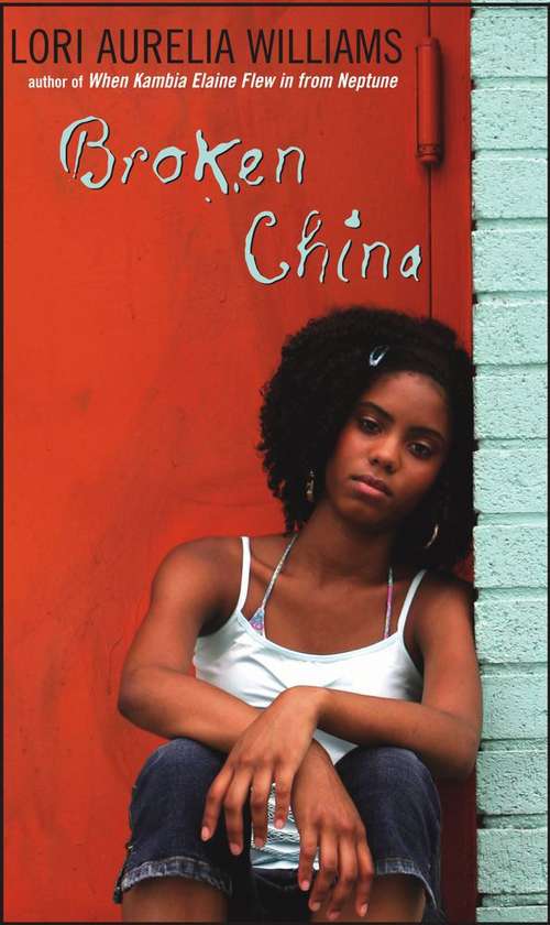 Book cover of Broken China