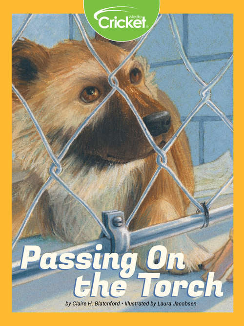 Book cover of Passing On the Torch