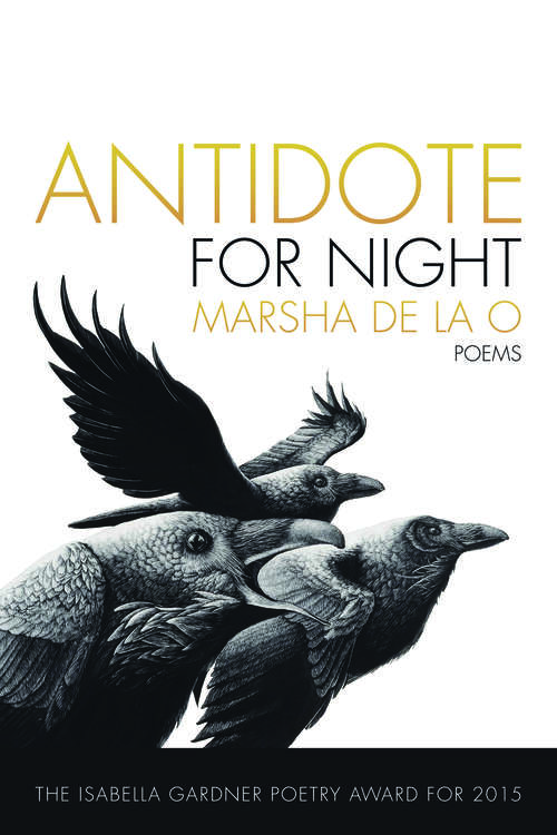 Book cover of Antidote for Night