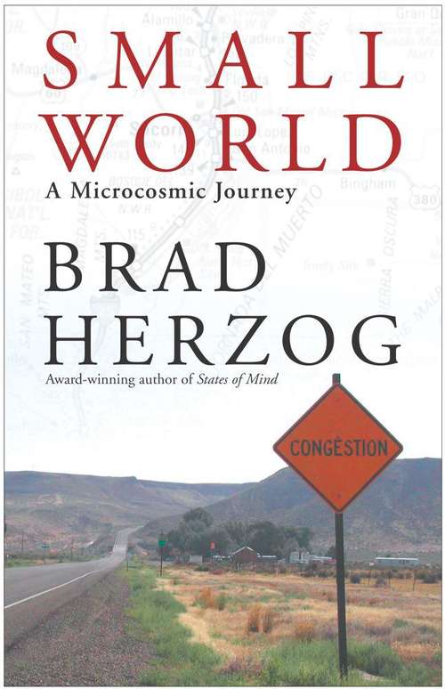 Book cover of Small World: A Microcosmic Journey