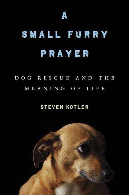 Book cover of A Small Furry Prayer: Dog Rescue and the Meaning of Life