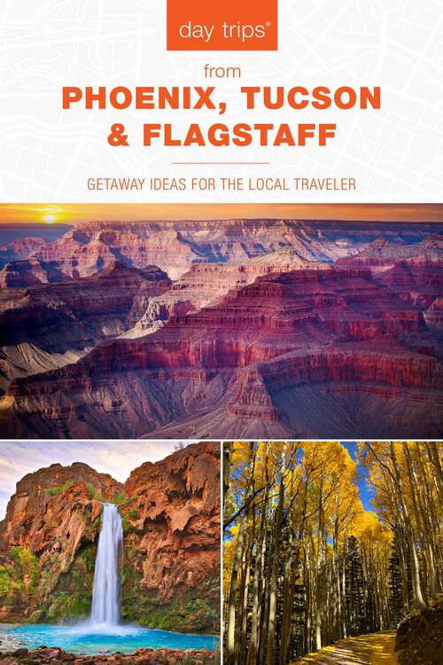Book cover of Day Trips® from Phoenix, Tucson & Flagstaff: Getaway Ideas for the Local Traveler (14th Edition) (Day Trips Series)