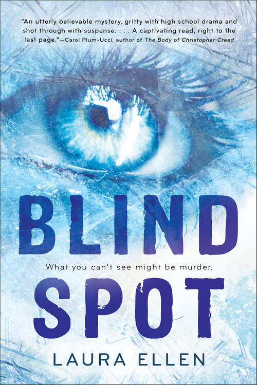 Book cover of Blind Spot