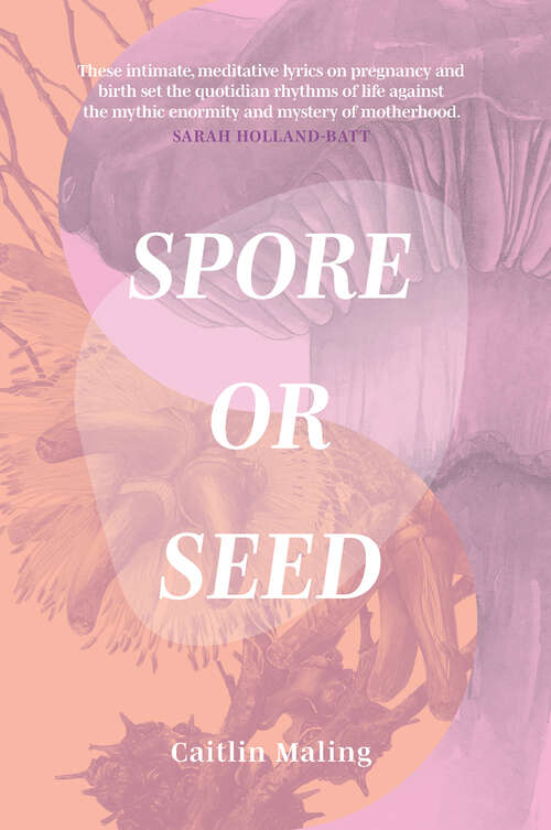 Book cover of Spore or Seed