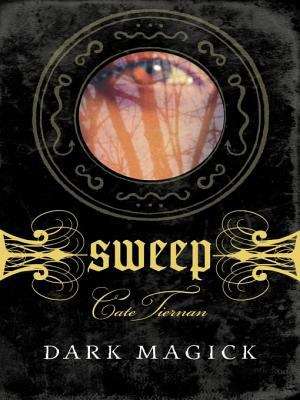 Book cover of Dark Magick (Sweep #4)