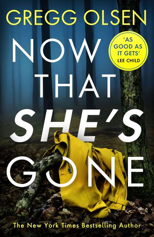 Book cover of Now That She's Gone (A\waterman And Stark Thriller Ser. #4)