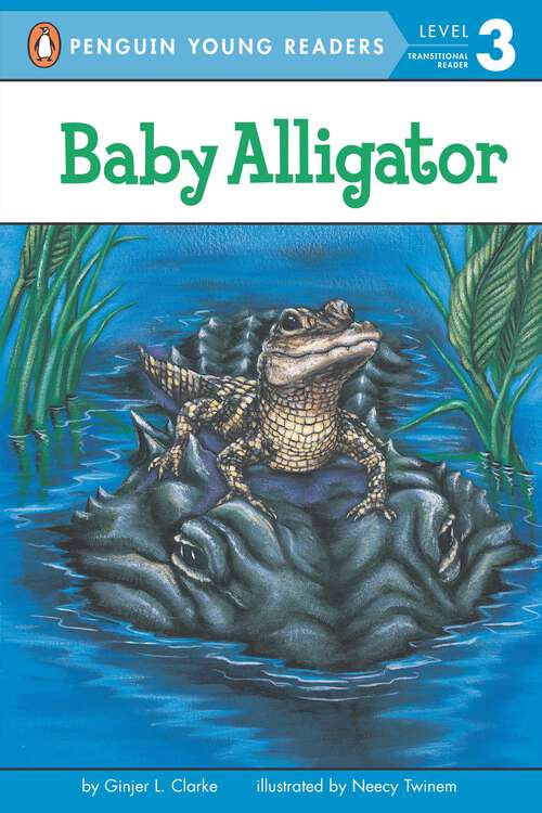Book cover of Baby Alligator (Penguin Young Readers, Level 3)