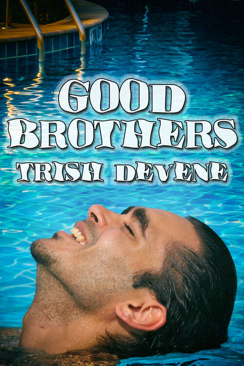 Book cover of Good Brothers