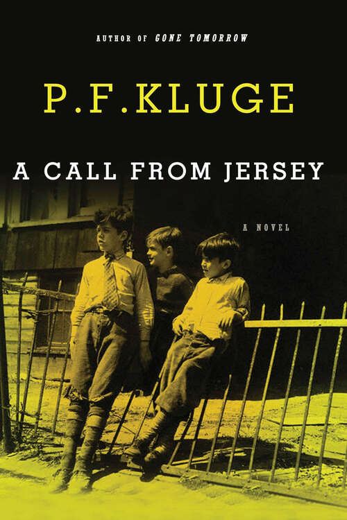 Book cover of A Call from Jersey: A Novel
