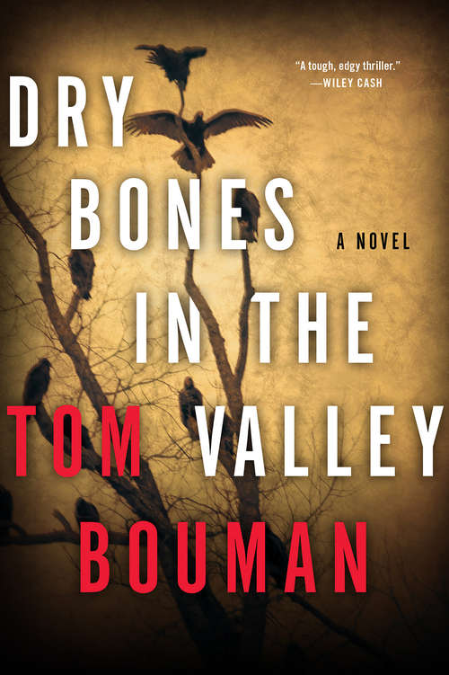 Book cover of Dry Bones in the Valley: A Novel