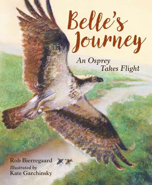 Book cover of Belle's Journey: An Osprey Takes Flight