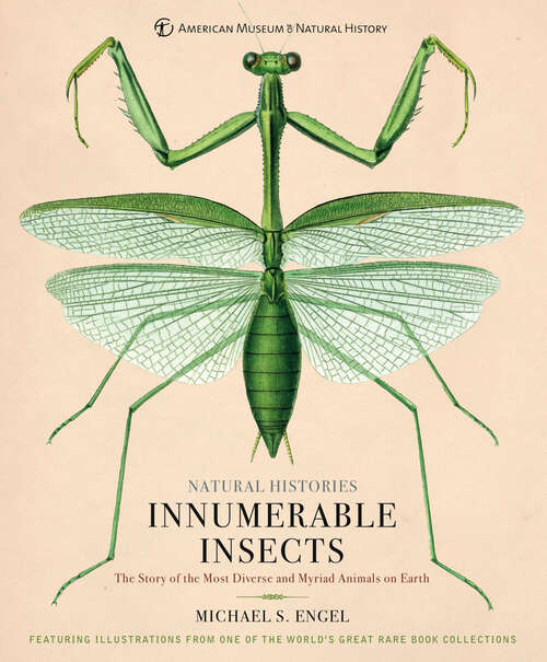 Book cover of Innumerable Insects: The Story of the Most Diverse and Myriad Animals on Earth (Natural Histories)