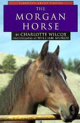 Book cover of The Morgan Horse (Learning About Horses)