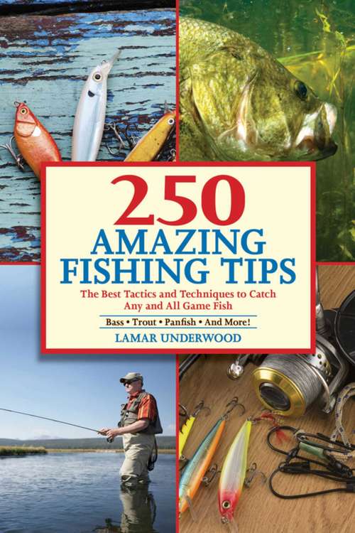 Book cover of 250 Amazing Fishing Tips: The Best Tactics and Techniques to Catch Any and All Game Fish
