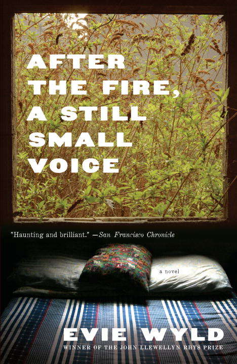 Book cover of After the Fire, a Still Small Voice