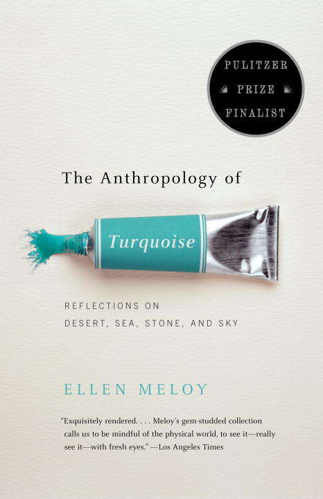 Book cover of The Anthropology of Turquoise: Reflections on Desert, Sea, Stone, and Sky