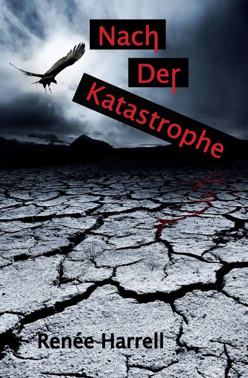 Book cover of Nach der Katastrophe
