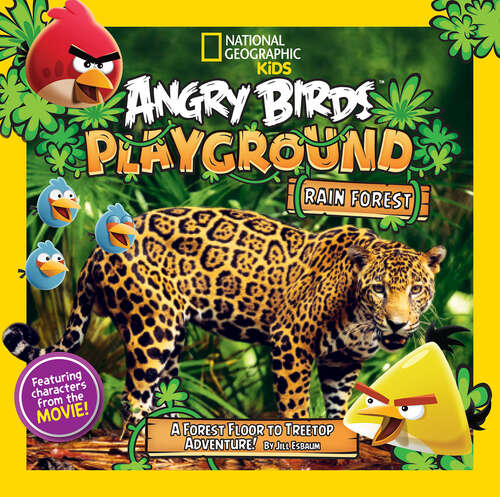 Book cover of Angry Birds Playground: A Forest Floor to Treetop Adventure