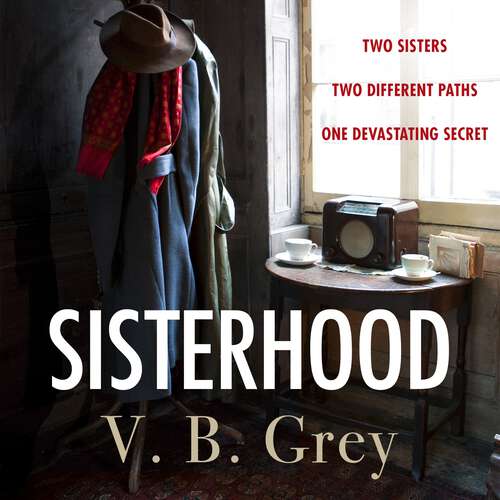 Book cover of Sisterhood