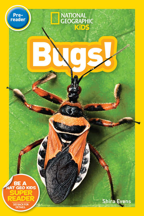 Book cover of Bugs! (Readers)
