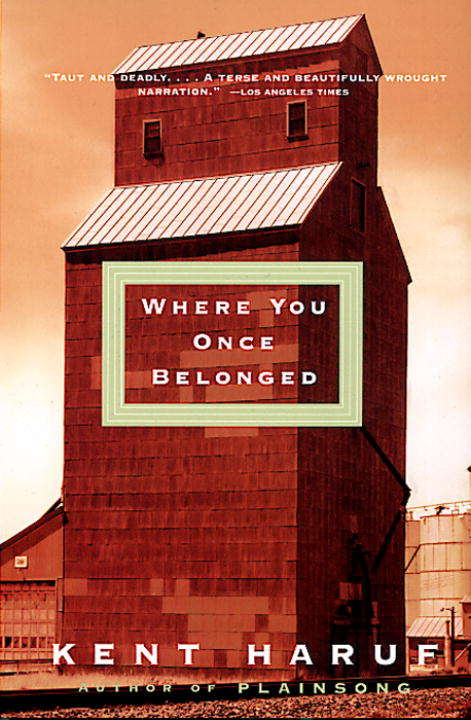 Book cover of Where You Once Belonged