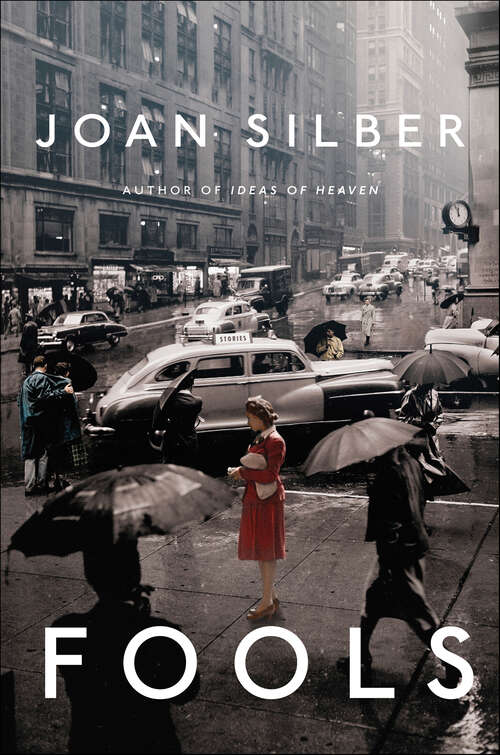 Book cover of Fools: Stories