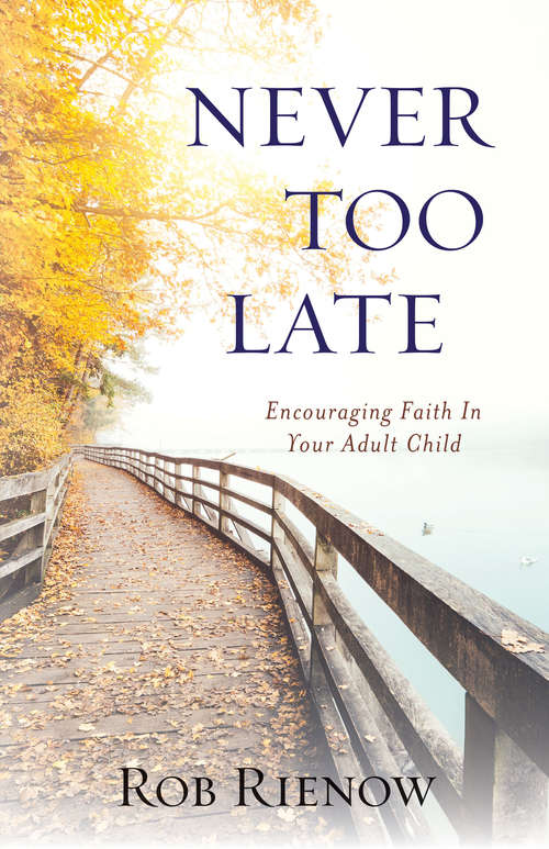 Book cover of Never Too Late: Encouraging Faith In Your Adult Child