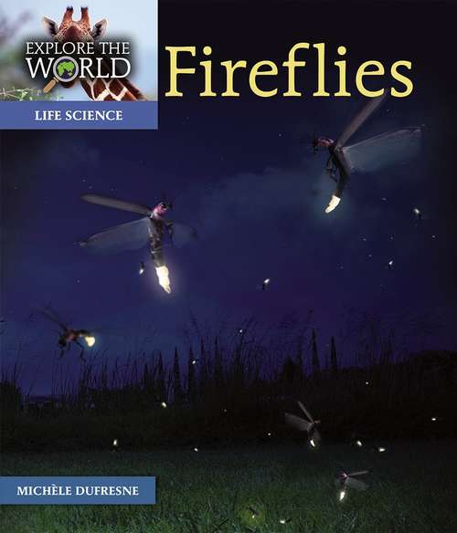 Book cover of Fireflies (Explore the World)